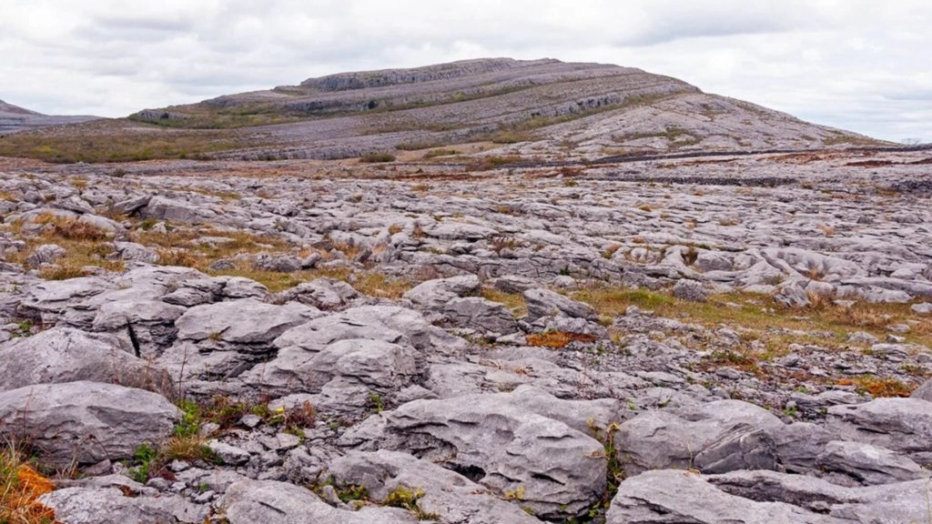 The Burren experience