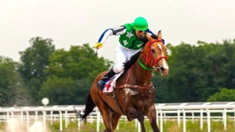 Horse Racing in Galway