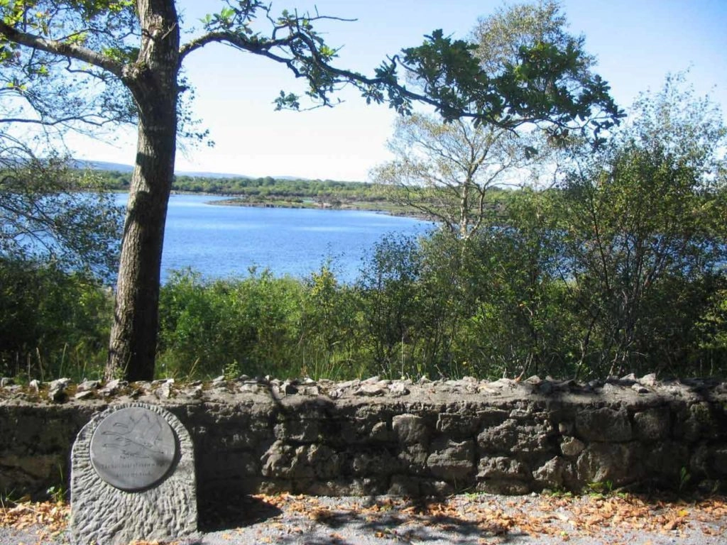 Coole Park near the Lady Gregory Hotel