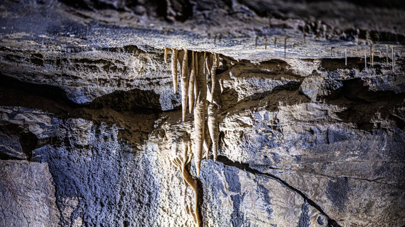 Aillwee Burren Experience LG Hotel